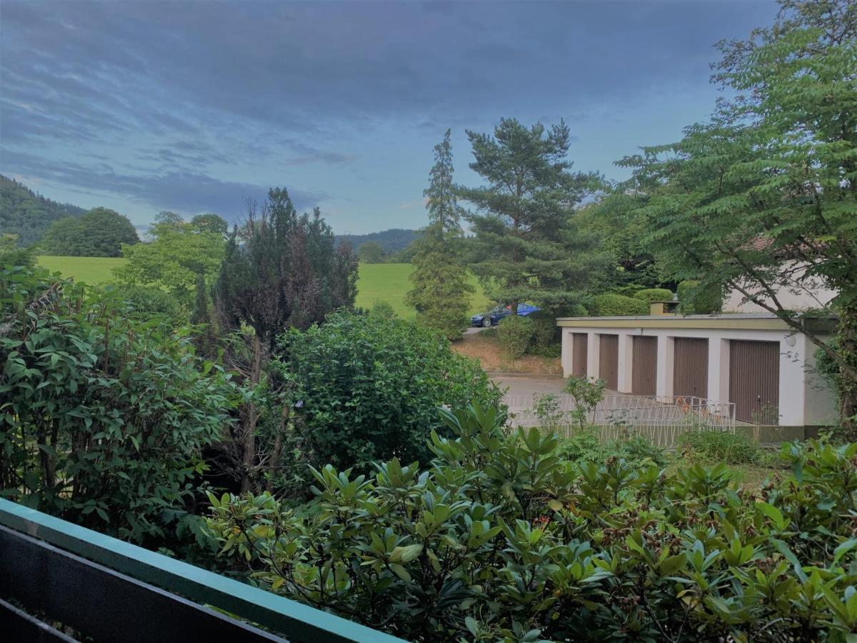 Villa Josephine バーデンヴァイラー エクステリア 写真